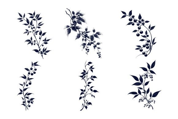 Elevate Your Projects with a Set of Flowers Illustration Collection
