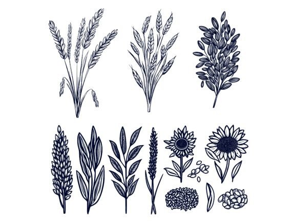 The Power of Plant: A Process-Driven Approach to Visual Asset Management